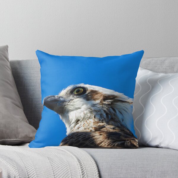 Item preview, Osprey profile stare designed and sold by Mark Grimsley.