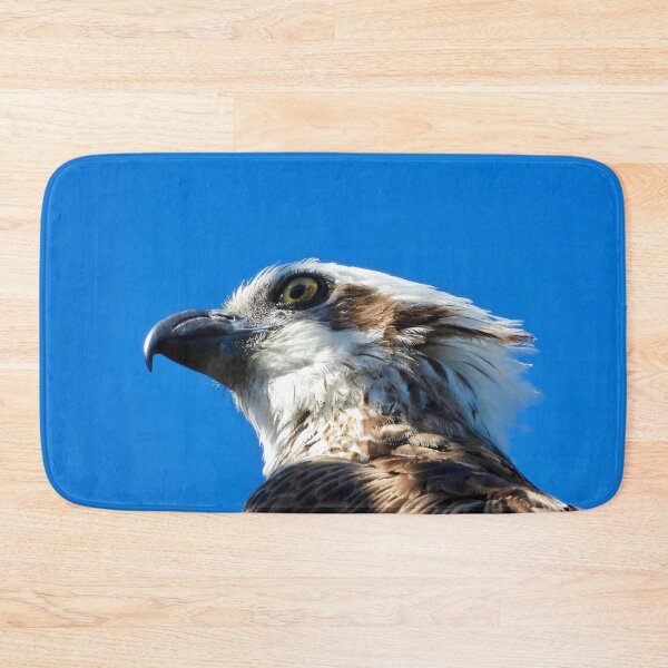 Item preview, Osprey profile stare designed and sold by Mark Grimsley.
