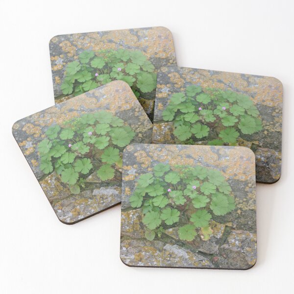 Item preview, Life on an old stone wall designed and sold by Anna Lemos.
