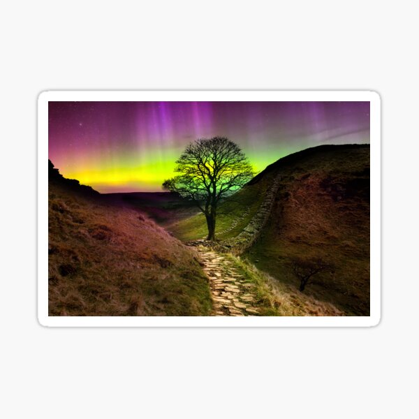 Item preview, Sycamore Gap Aurora Borealis  designed and sold by Alisonchambers2.