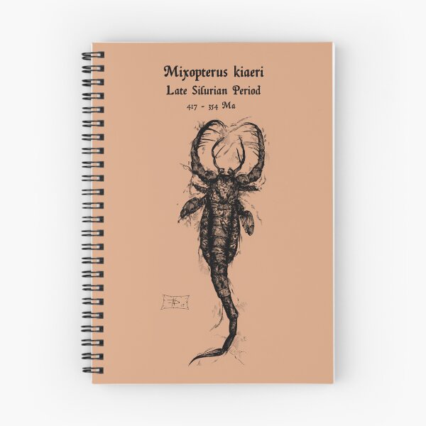 Item preview, Mixopterus kiaeri fossil designed and sold by DavidNeffArt.