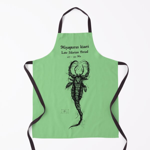 Item preview, Mixopterus kiaeri fossil designed and sold by DavidNeffArt.