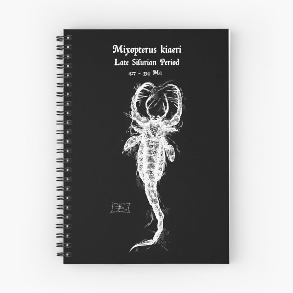 Item preview, Mixopterus kiaeri fossil designed and sold by DavidNeffArt.