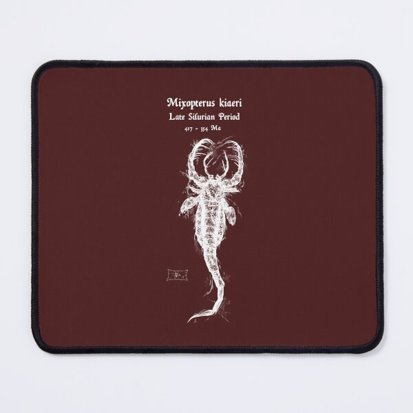Item preview, Mixopterus kiaeri fossil designed and sold by DavidNeffArt.