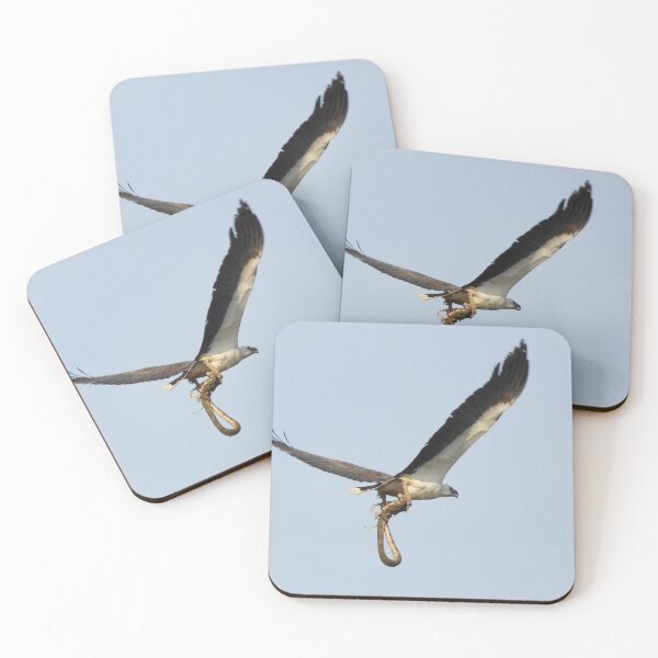 Item preview, White Bellied sea eagle with sea snake designed and sold by Mark Grimsley.