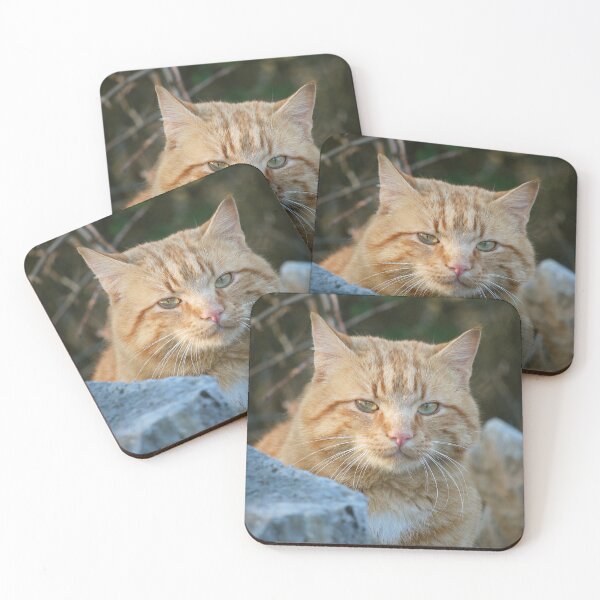 Item preview, Ginger Tabby Cat  designed and sold by SweepingShadows.