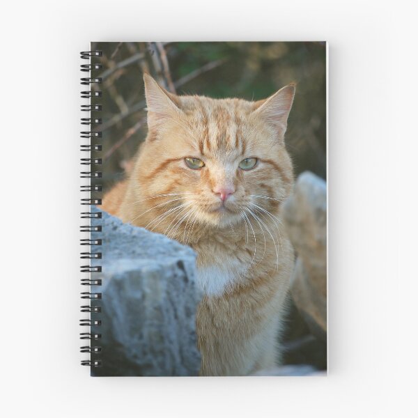 Item preview, Ginger Tabby Cat  designed and sold by SweepingShadows.
