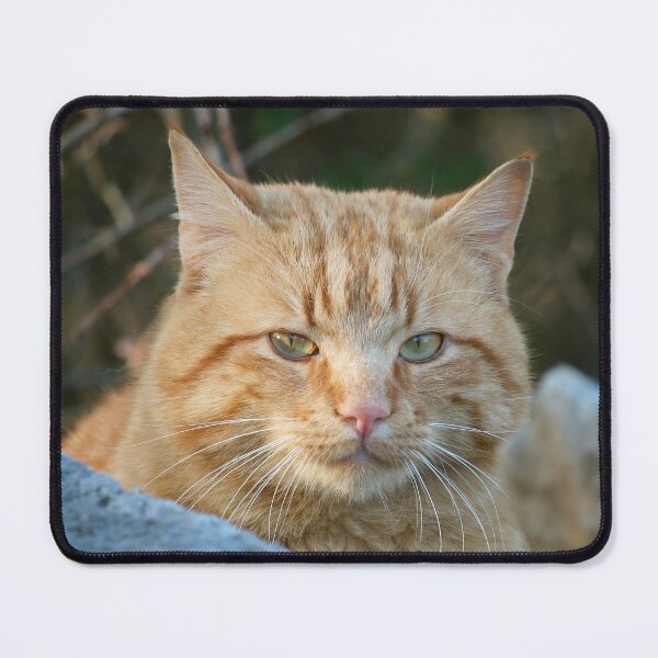 Item preview, Ginger Tabby Cat  designed and sold by SweepingShadows.