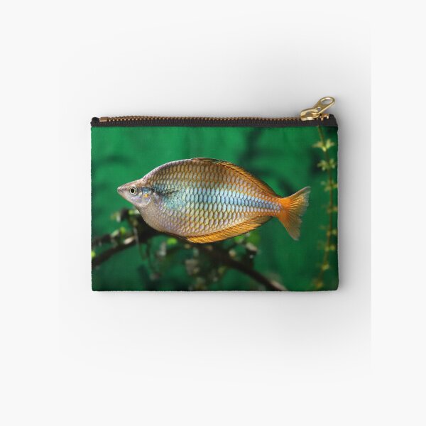 Item preview, Banded Rainbowfish designed and sold by SweepingShadows.