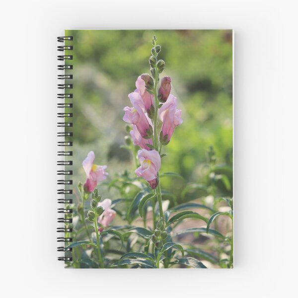 Item preview, Pink Snapdragon Flower designed and sold by SweepingShadows.