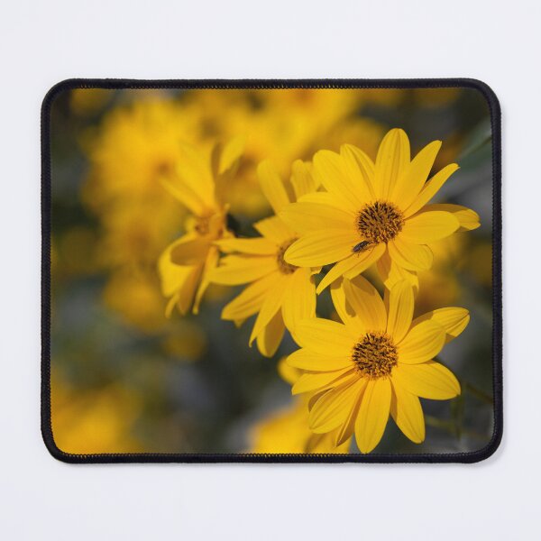 Item preview, Wild Sunflowers designed and sold by SweepingShadows.