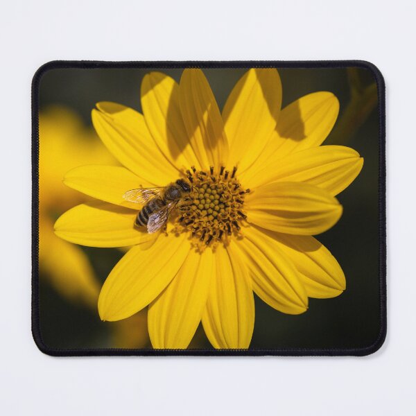 Item preview, Honey Been On Sunroot designed and sold by SweepingShadows.