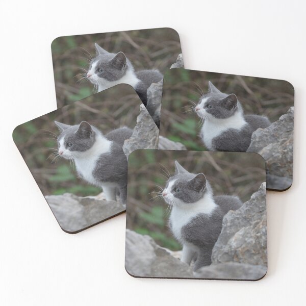Item preview, Sweet Grey and White Cat designed and sold by SweepingShadows.