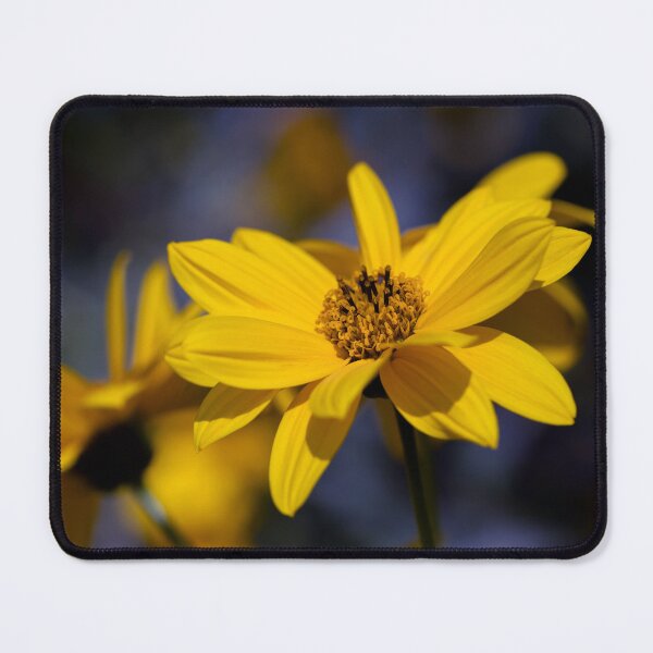 Item preview, Wild Sunflower designed and sold by SweepingShadows.
