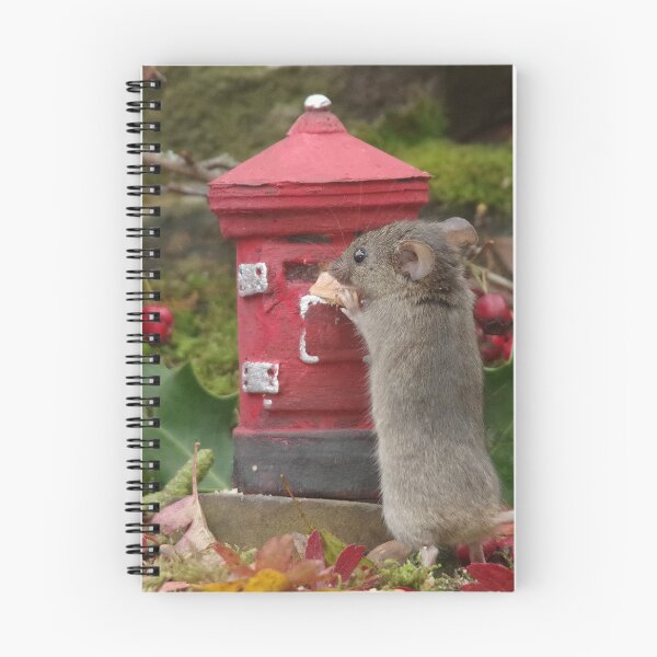 Item preview, Mouse post  designed and sold by Simon-dell.