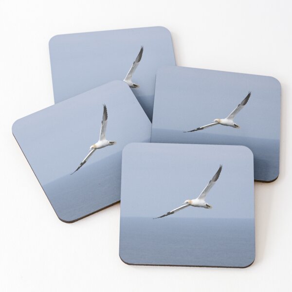 Item preview, Beautiful Gannet In Flight designed and sold by francophotos.