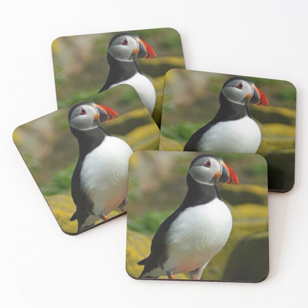 Item preview, Puffin Portrait designed and sold by TheAnimalZ00.