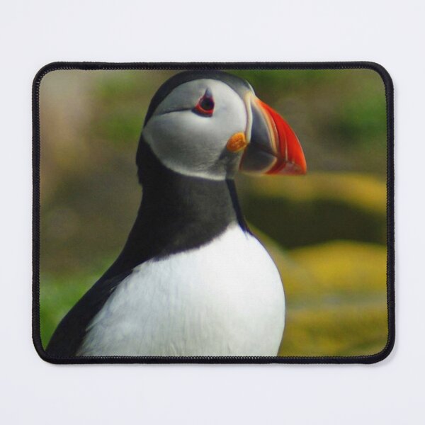 Item preview, Puffin Portrait designed and sold by TheAnimalZ00.