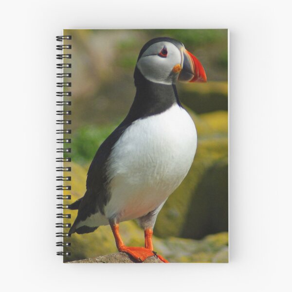Item preview, Puffin Portrait designed and sold by TheAnimalZ00.