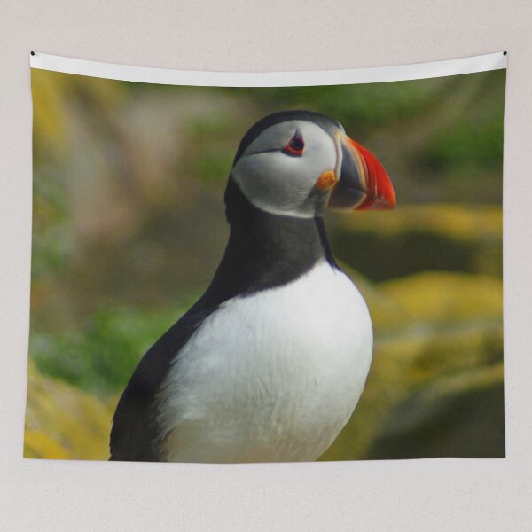 Item preview, Puffin Portrait designed and sold by TheAnimalZ00.