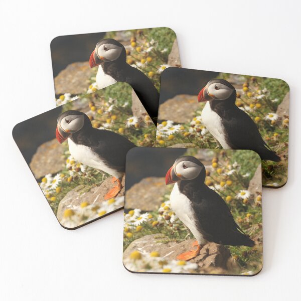 Item preview, Puffin Bird  designed and sold by TheAnimalZ00.