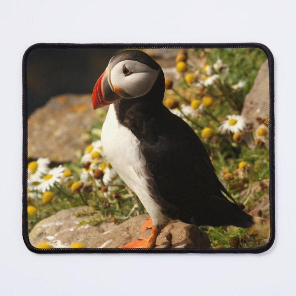 Item preview, Puffin Bird designed and sold by TheAnimalZ00.