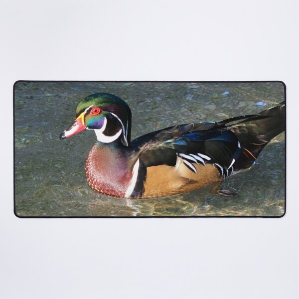Item preview, Mallard Duck designed and sold by TheAnimalZ00.