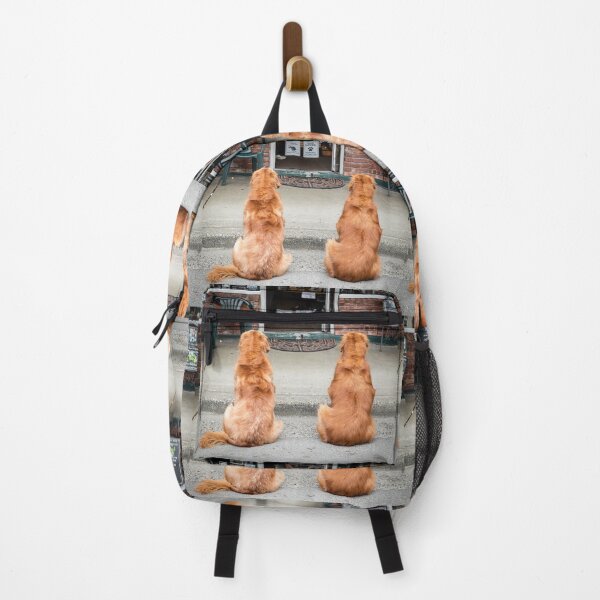 Item preview, Sit and Stay Funny Golden Retriever Street Photography designed and sold by nancyjcreates.