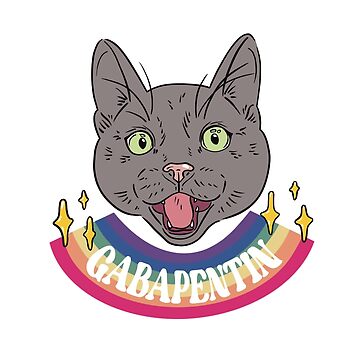gabapentin cat hungry