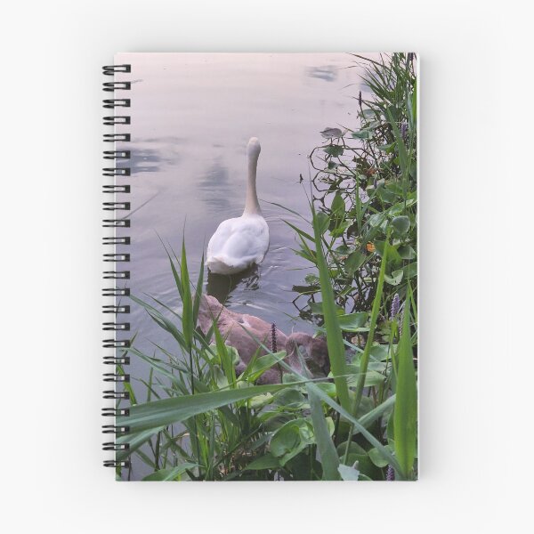 Item preview, Parent and Child Swans designed and sold by Phebastian.