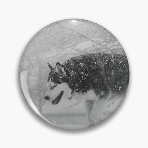 Item preview, Siberian Husky Not Able to Open Eyes in Heavy Snow designed and sold by myhuskymax.