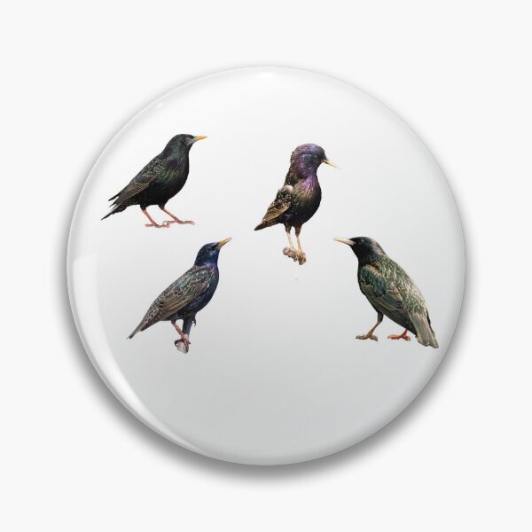 Item preview, European Starlings designed and sold by TheAnimalZ00.
