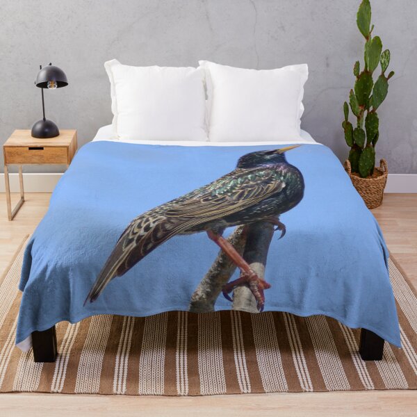 Item preview, European Starling designed and sold by TheAnimalZ00.