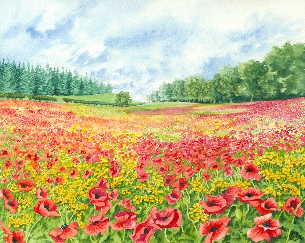 Poppy Field Watercolour On Paper By Lynne Henderson Redbubble   Flat,1000x1000,075,f.u1 