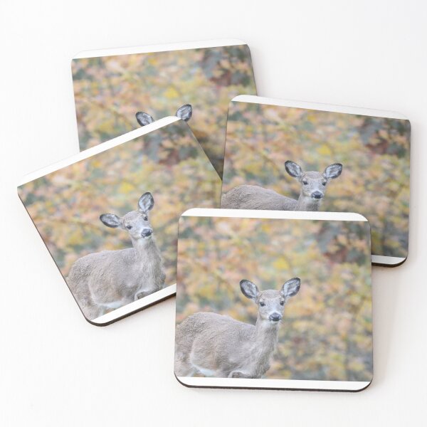 Item preview, Portrait of a young deer designed and sold by BirdsBugsBeyond.