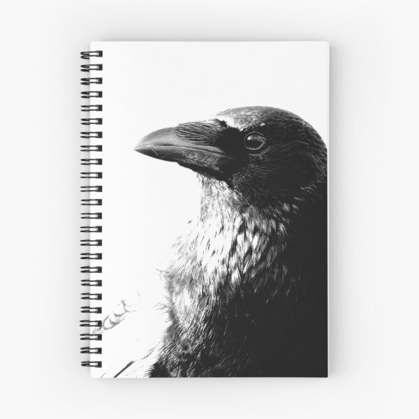 Item preview, Contrasting Corvid designed and sold by TerriWatson.