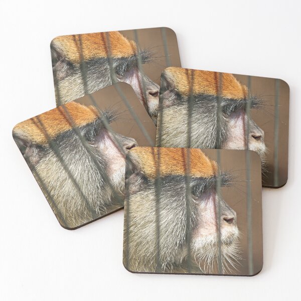 Item preview, The Face of Captivity designed and sold by CarolM.
