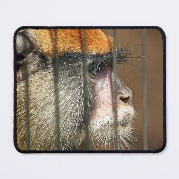 Item preview, The Face of Captivity designed and sold by CarolM.