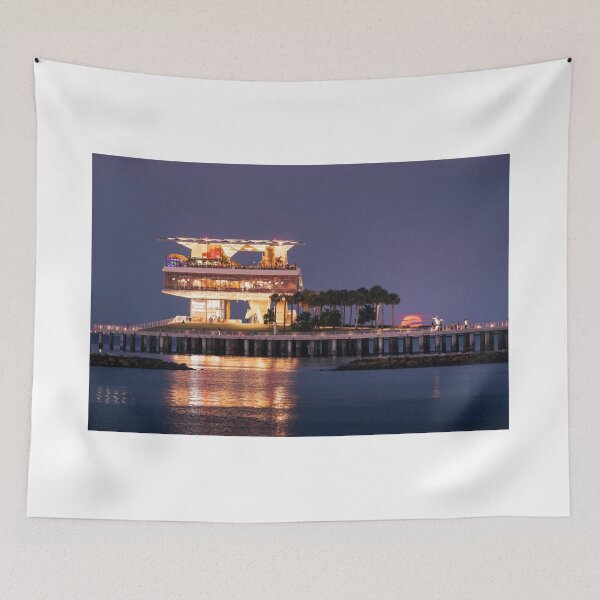 Item preview, St. Petersburg Pier Supermoon designed and sold by ballpointpenh.