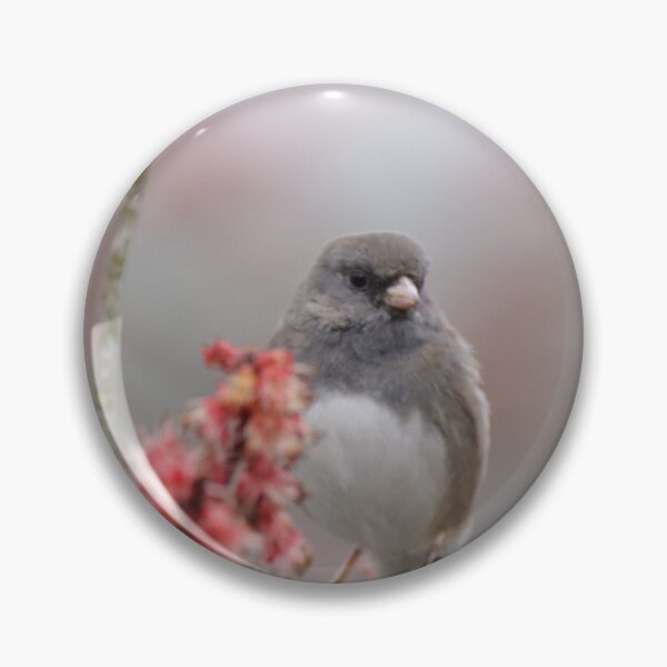 Artikel-Vorschau von Dunkeläugiger Junco thront im Baum, designt und verkauft von BirdsBugsBeyond.