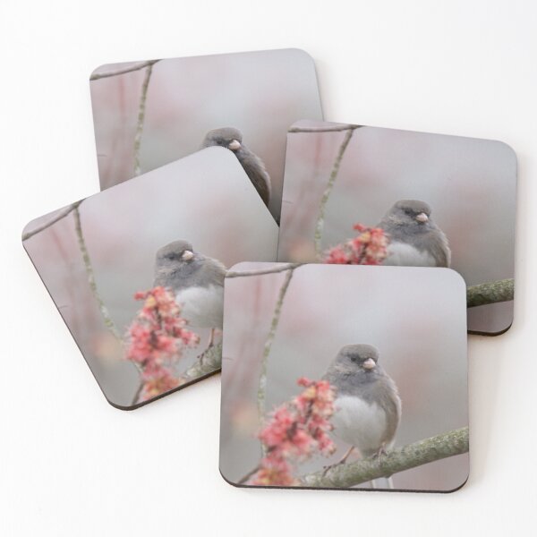 Item preview, Dark eyed junco perched in tree designed and sold by BirdsBugsBeyond.