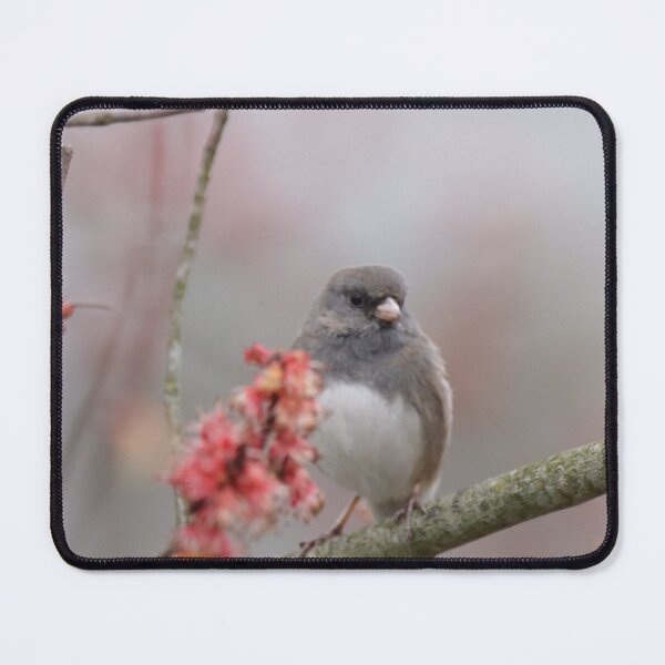 Item preview, Dark eyed junco perched in tree designed and sold by BirdsBugsBeyond.