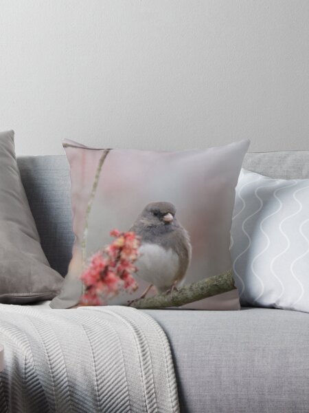 Artikel-Vorschau von Dunkeläugiger Junco thront im Baum, designt und verkauft von BirdsBugsBeyond.