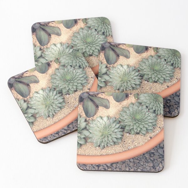 Item preview, Potted Succulents designed and sold by SSP-Photography.