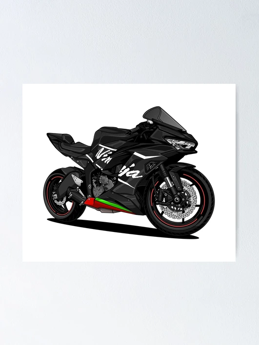Graves OEM Bodywork Graphics Set - Greyscale Kawasaki ZX-4RR