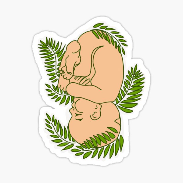 Nature vs nurture Sticker