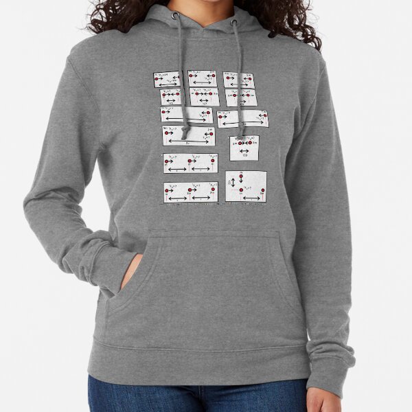 Newton&#39;s Law of Universal Gravitation: Control Questions Lightweight Hoodie