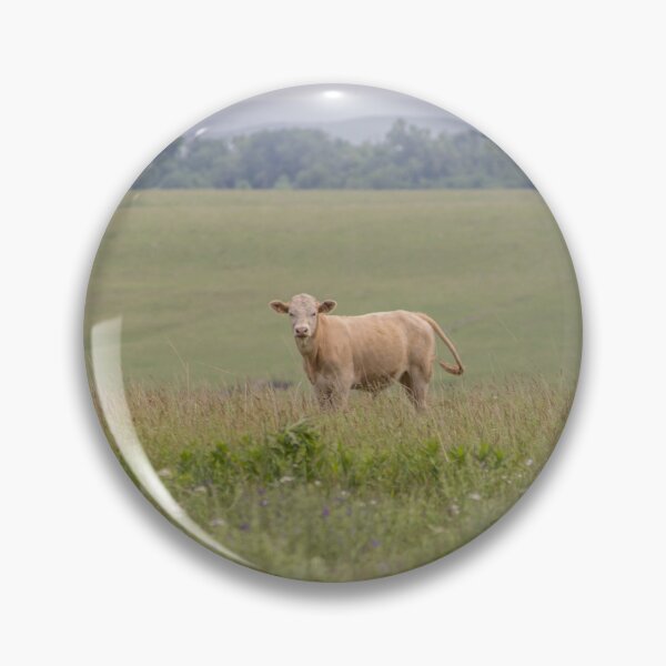 Item preview, Majestic Cow designed and sold by metgeophoto.