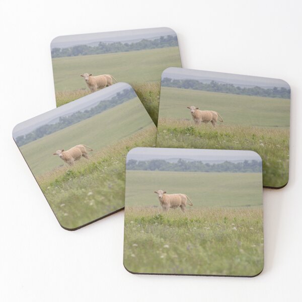 Item preview, Majestic Cow designed and sold by metgeophoto.