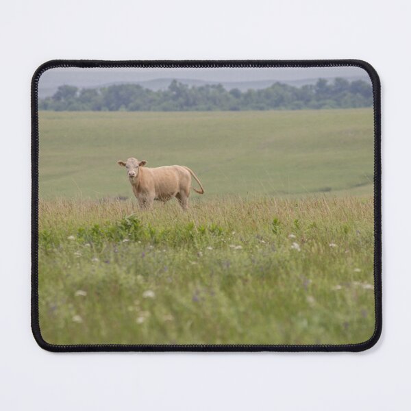 Item preview, Majestic Cow designed and sold by metgeophoto.